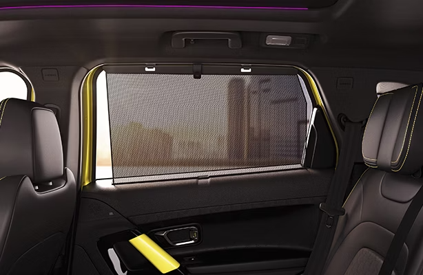 Rear Sunshades
