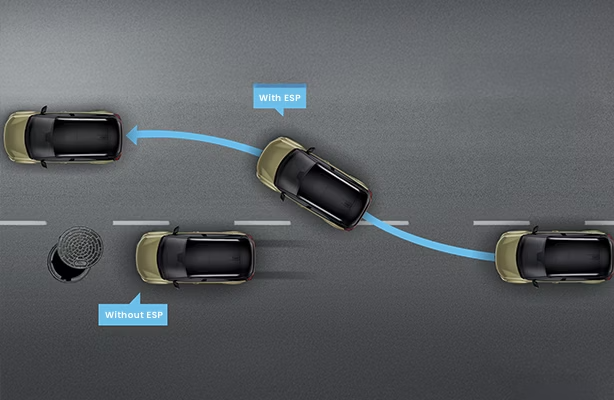 Electronic Stability Program (ESP)