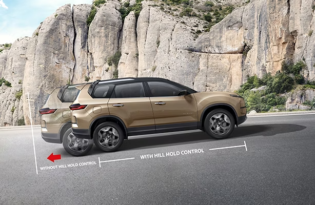 Hill hold control